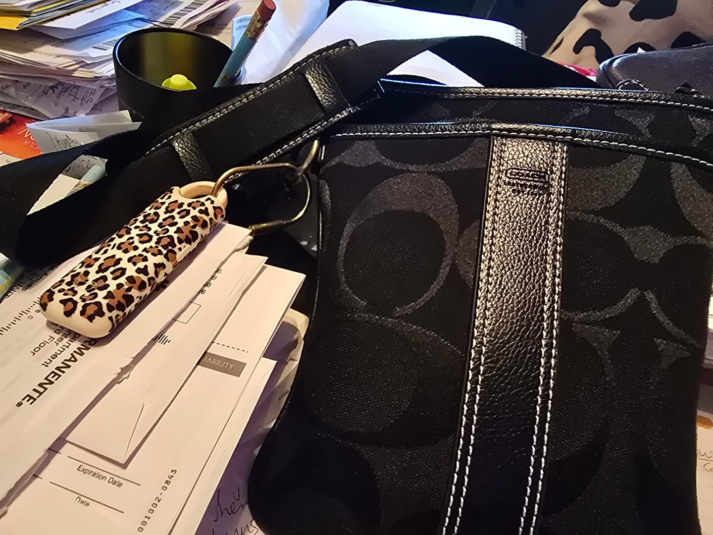 Customer photo review of Birdie 3.0