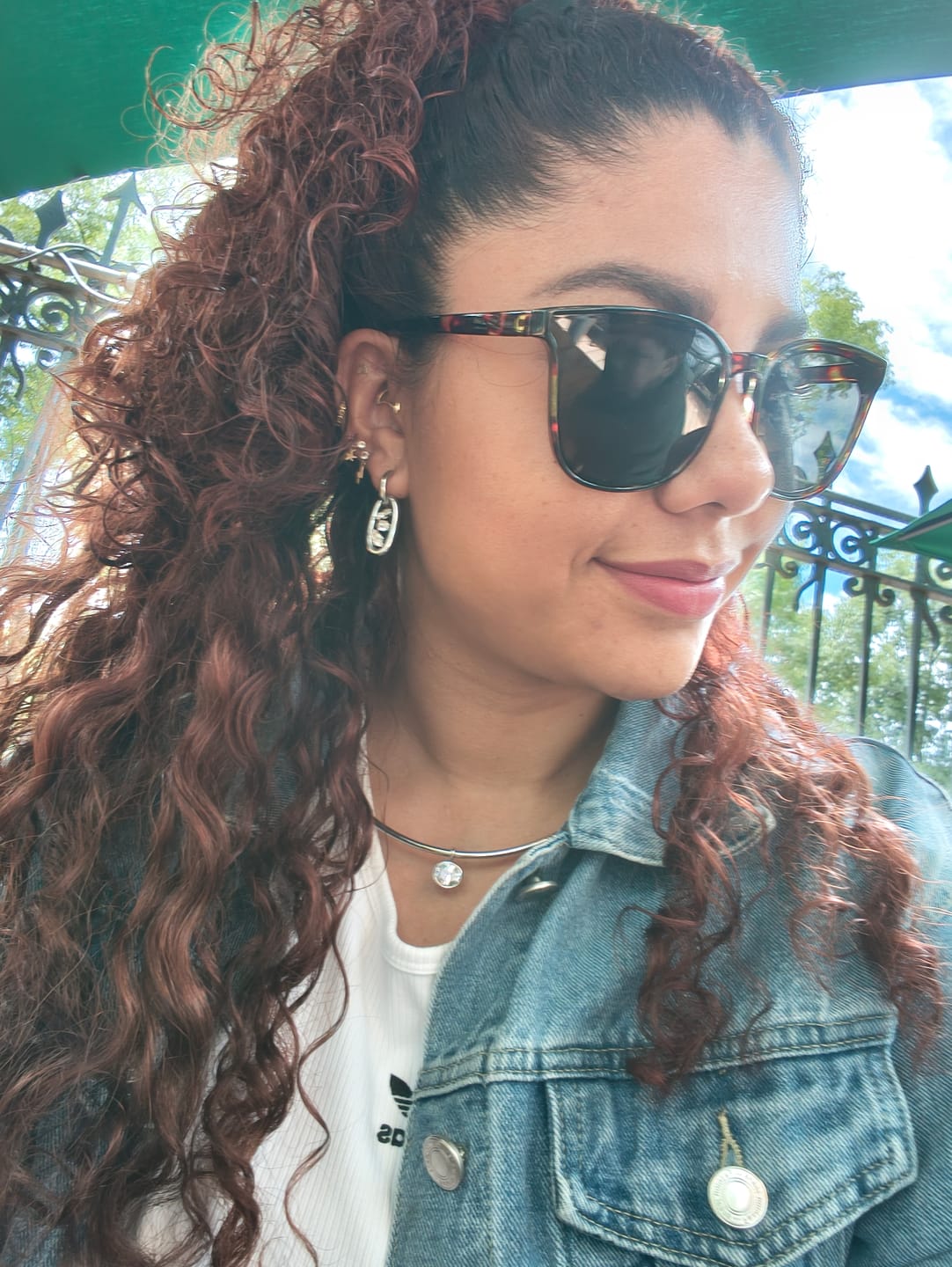 Customer photo review of Aretes Rosalie Plata