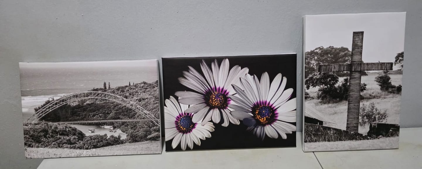 Customer photo review of 3 x A4 Canvas Combo