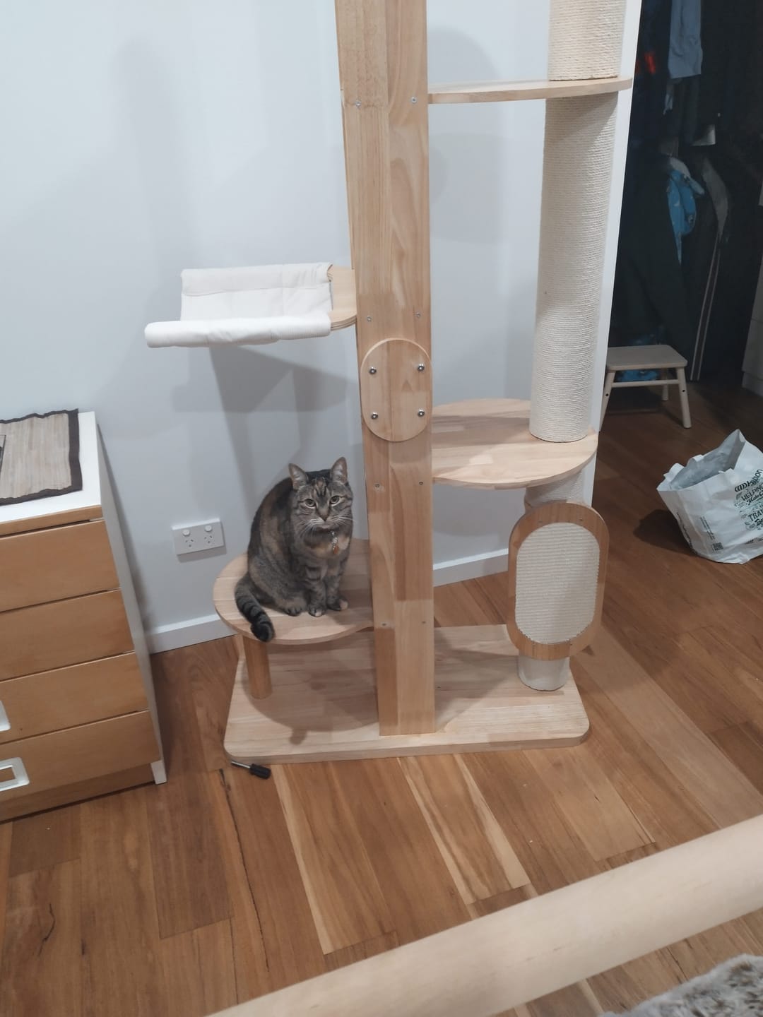 Customer photo review of Solid Wood Multi-Level Cat Tower - 183cm