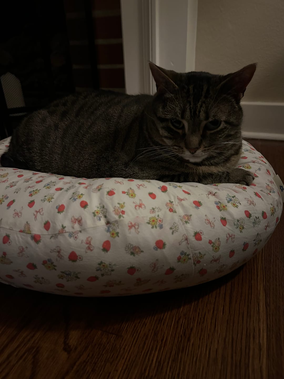 Customer photo review of Strawberry Jam Pudding Bed