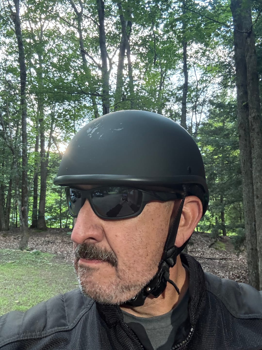 Customer photo review of Maltese DOT SOA Limited Edition