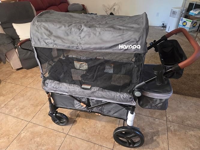Customer photo review of Remy 2-Seat Wagon Stroller