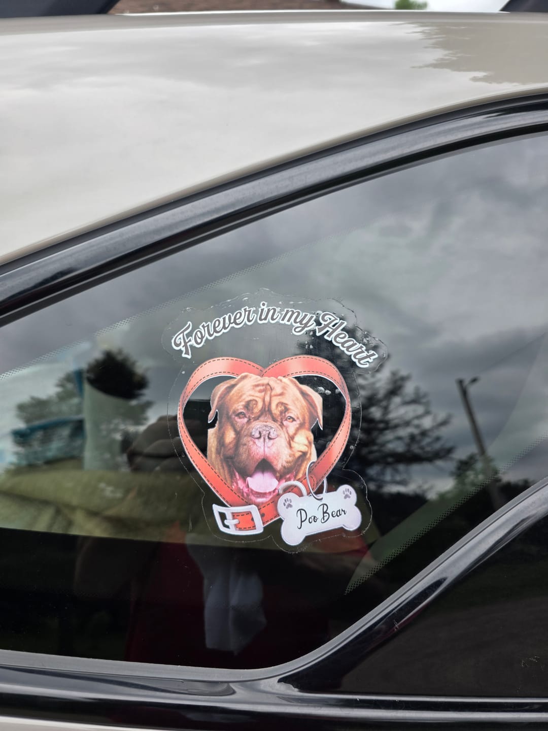 Customer photo review of Custom Photo Forever In My Heart Memorial Car Window Decal Sticker