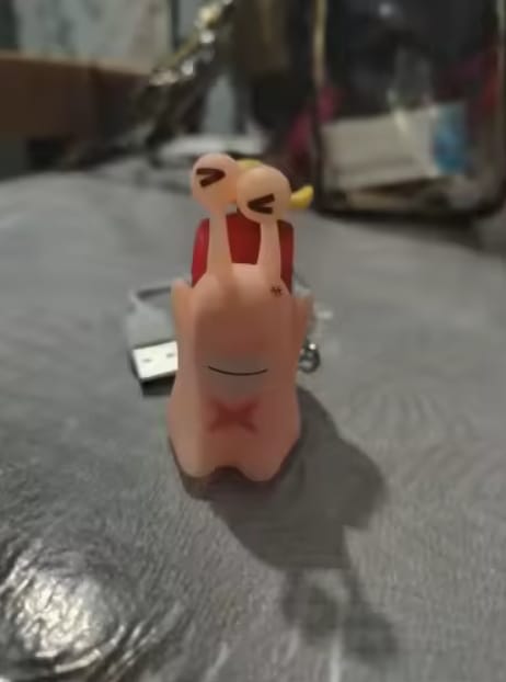 Customer photo review of Mushi Voice Grabadora