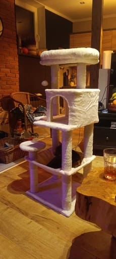 Customer photo review of La Résidence de Gatsby – Arbre à Chat Maine Coon avec Niche, Hamac et Perchoir Panoramique (113 cm)