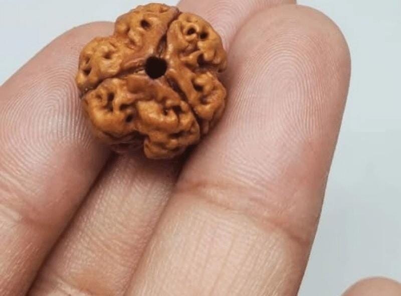 Customer photo review of Nepal Origin 3 Mukhi Rudraksha - 17mm to 22mm