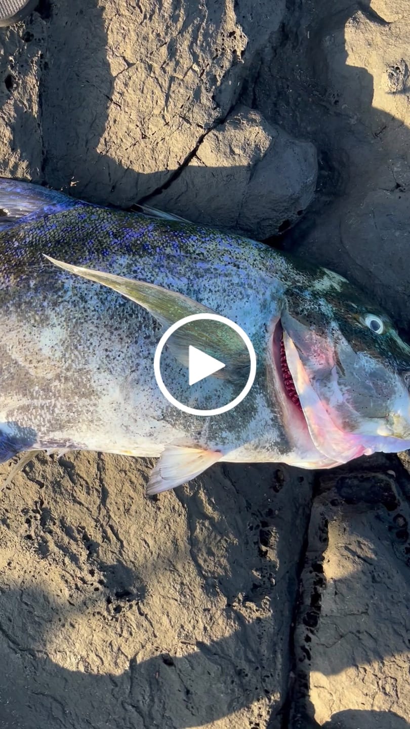 Customer video review of Beyond Braid EZ Fishing Line Spooler