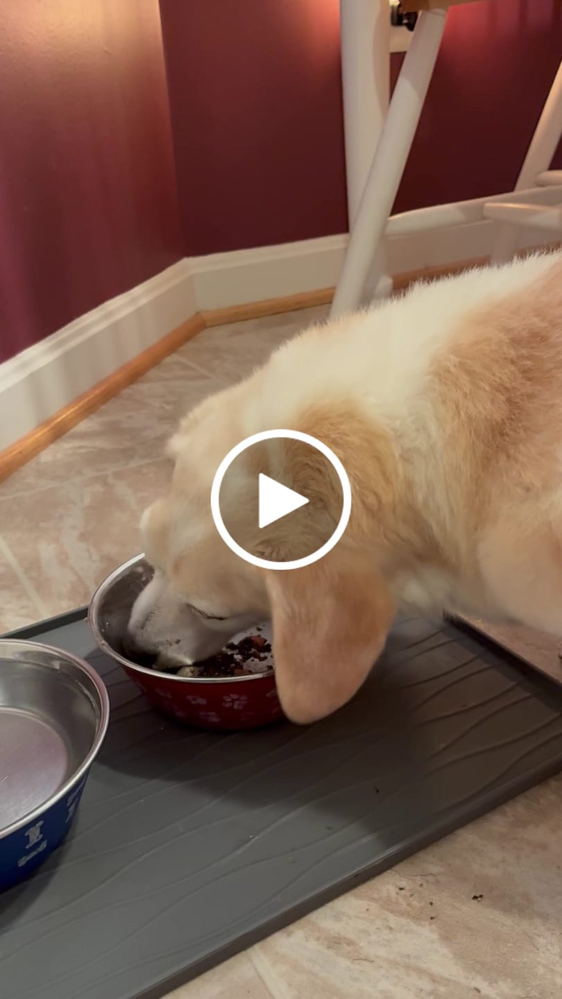 Customer video review of Beef Bowl