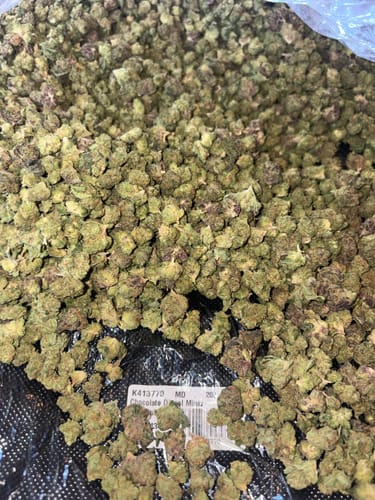 Chocolate Diesel Minis - Bulk Minis - Sativa photo review