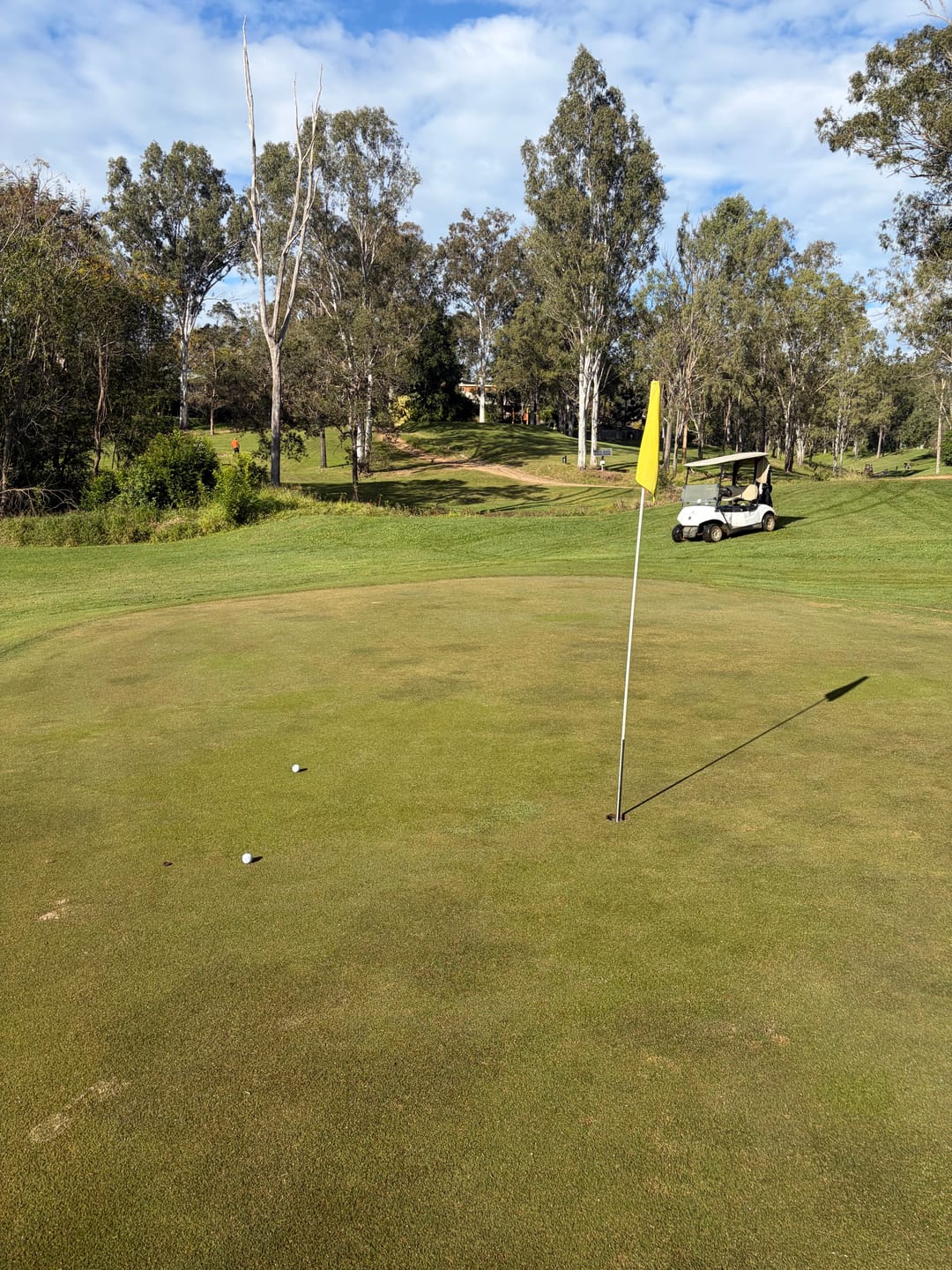 Customer photo review of Ultra Straight Self Correcting Golf Ball (75% Straighter Flight)