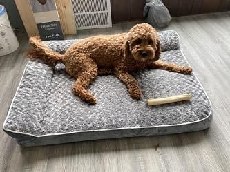 Customer photo review of The Big Loll