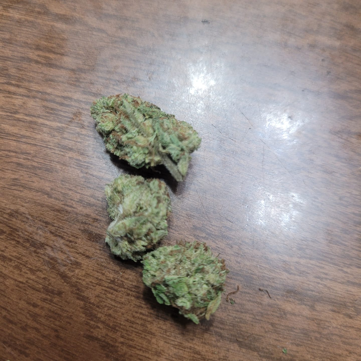 Customer photo review of Wedding Cake - Minis - 28 Grams - Indica