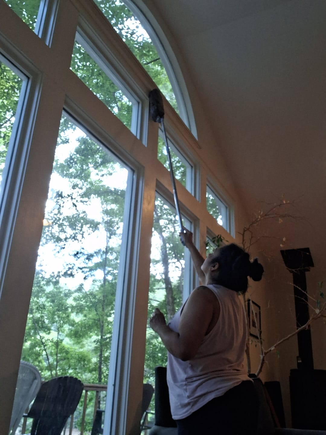 Customer photo review of Extendable Microfiber Duster