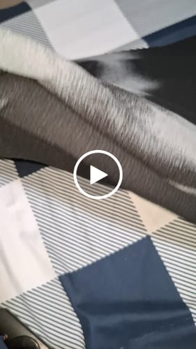 Customer video review of Smoke Pump Cover Dusk
