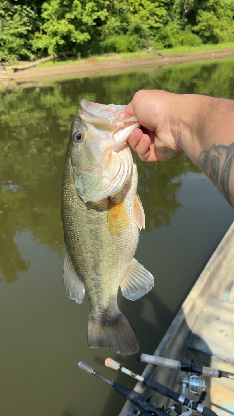 Customer photo review of Matt Arey Underspin Pro Pack