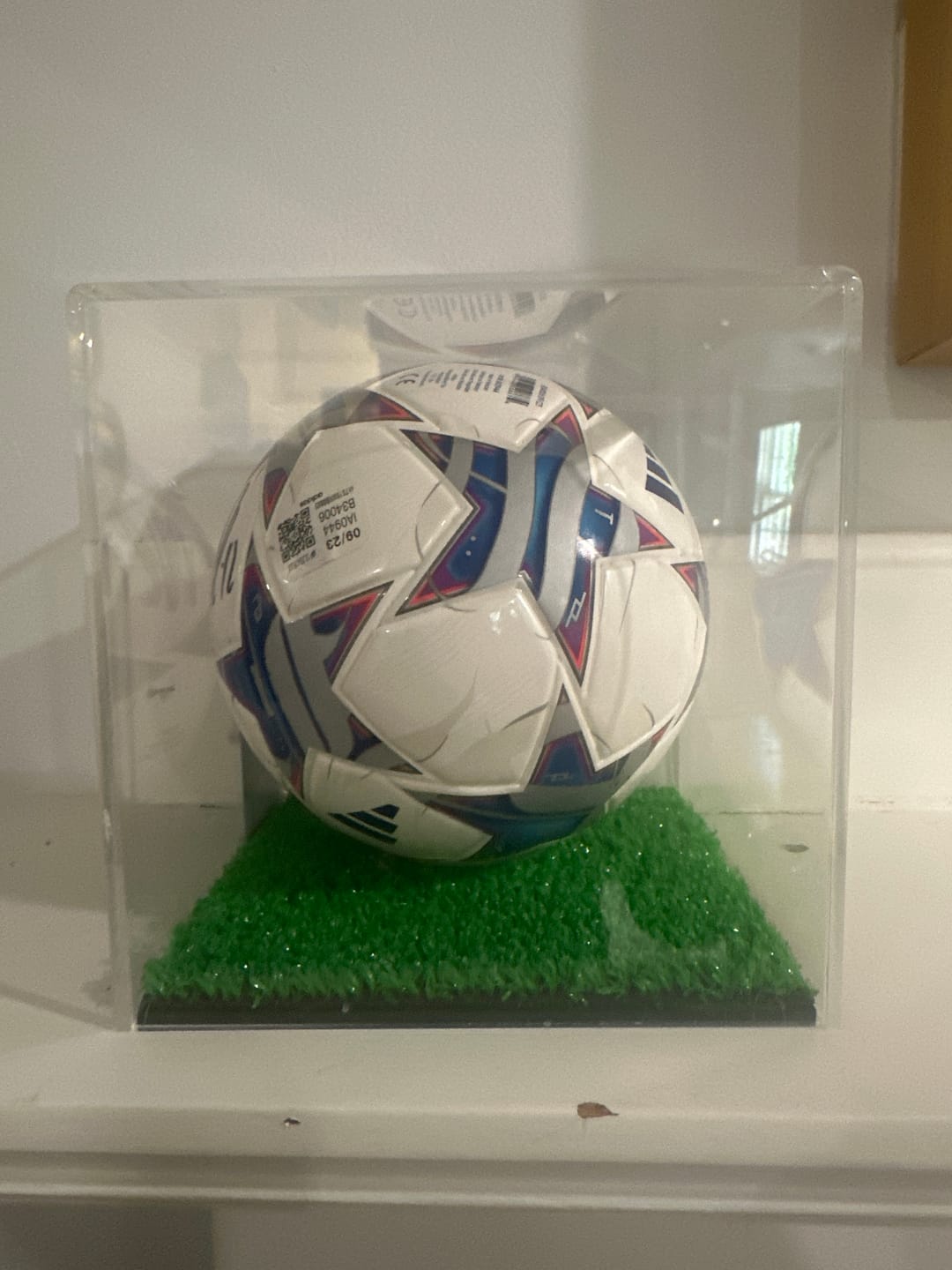 Customer photo review of Versatile Acrylic Display Cases with Turf Base - All In One Product