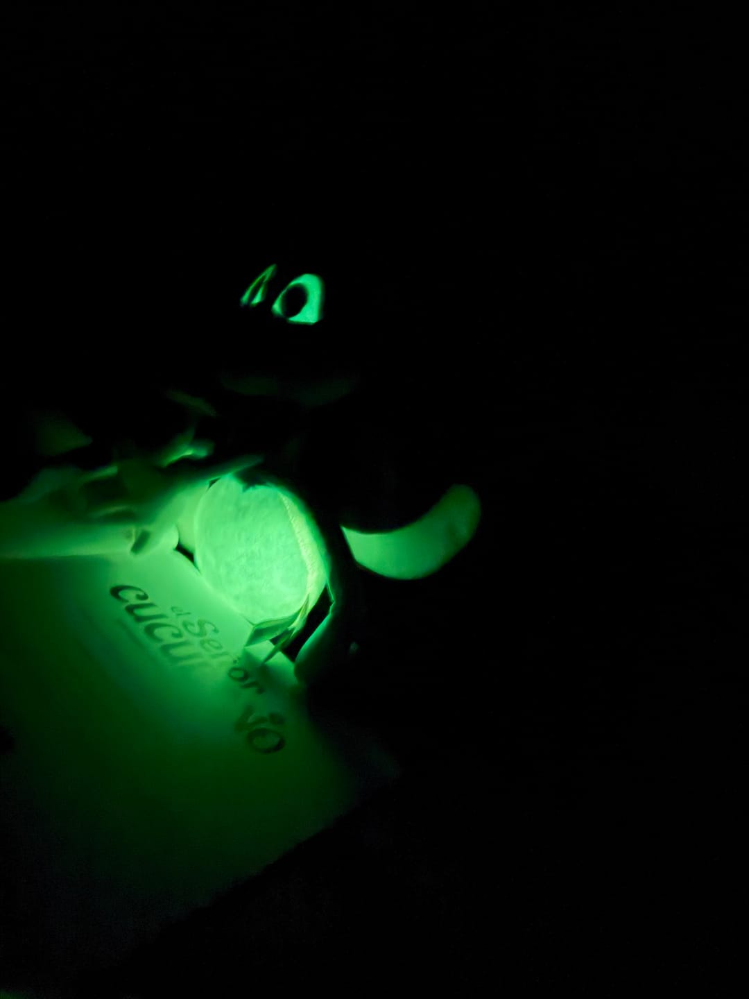 Customer photo review of El Señor Cucubano | Peluche Glow-in-the-Dark