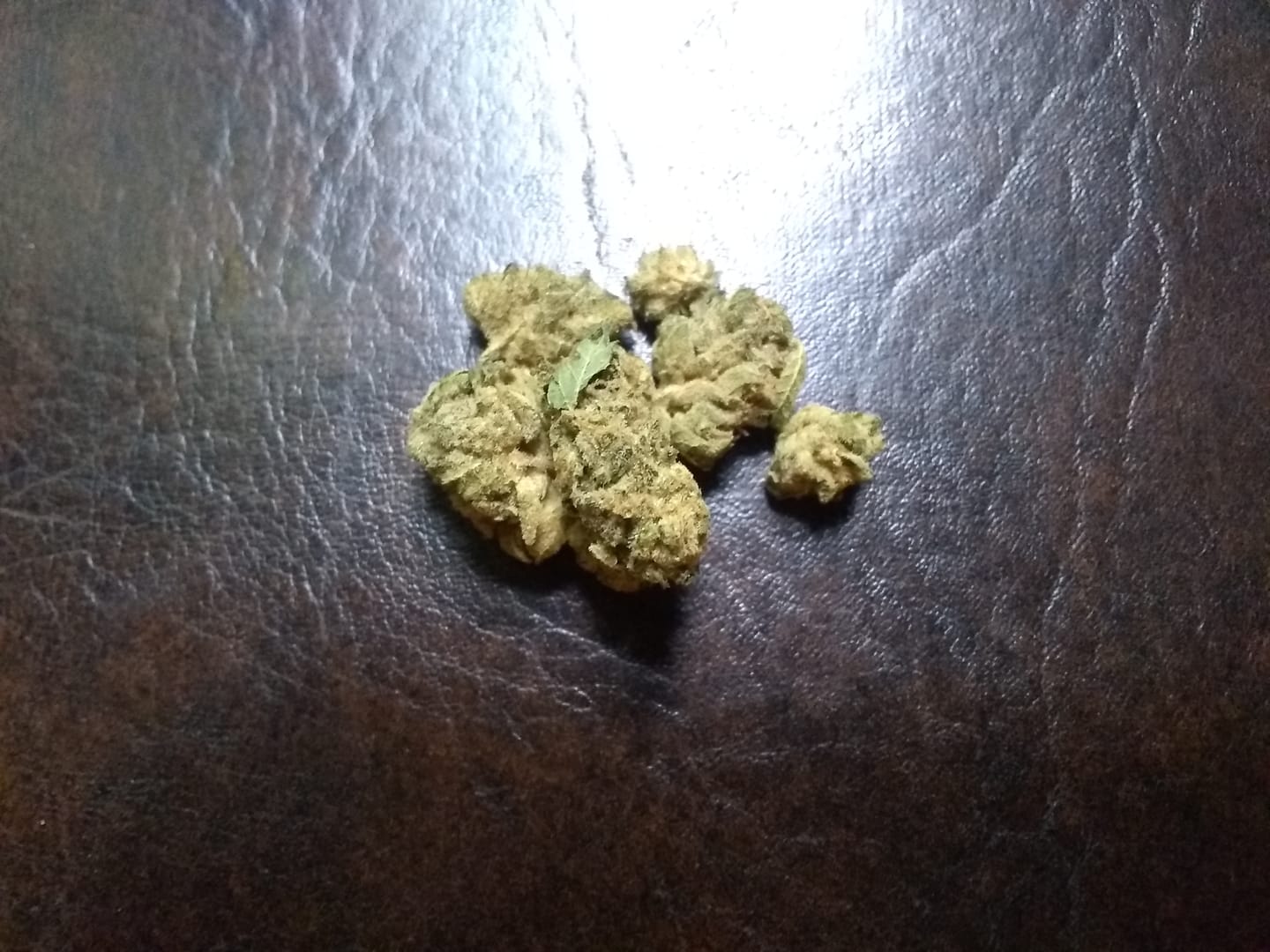 Customer photo review of Ice Cream Cake THCA Flower (Budget)