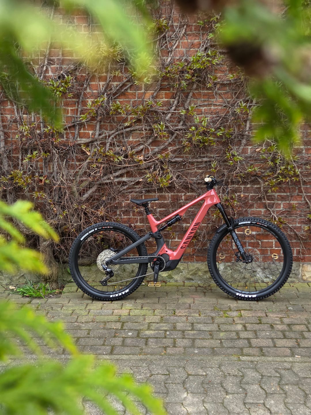 Customer photo review of Nano EVO2.0 Pedals