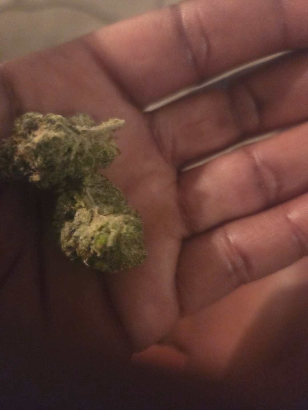 Customer photo review of Skywalker OG - 28 Grams - Indica