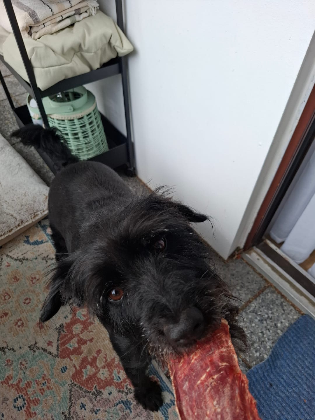 Customer photo review of KIDDOG SUPER PREMIUM 100% Entenbrust in dünnen Scheiben
