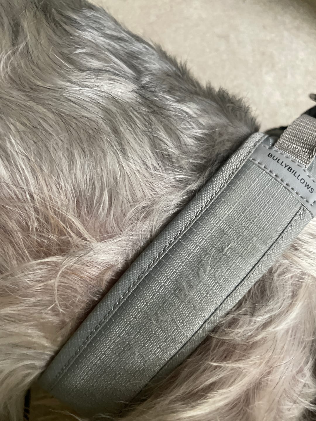 Customer photo review of Boomerang Harness - XS-M Breeds - Grey