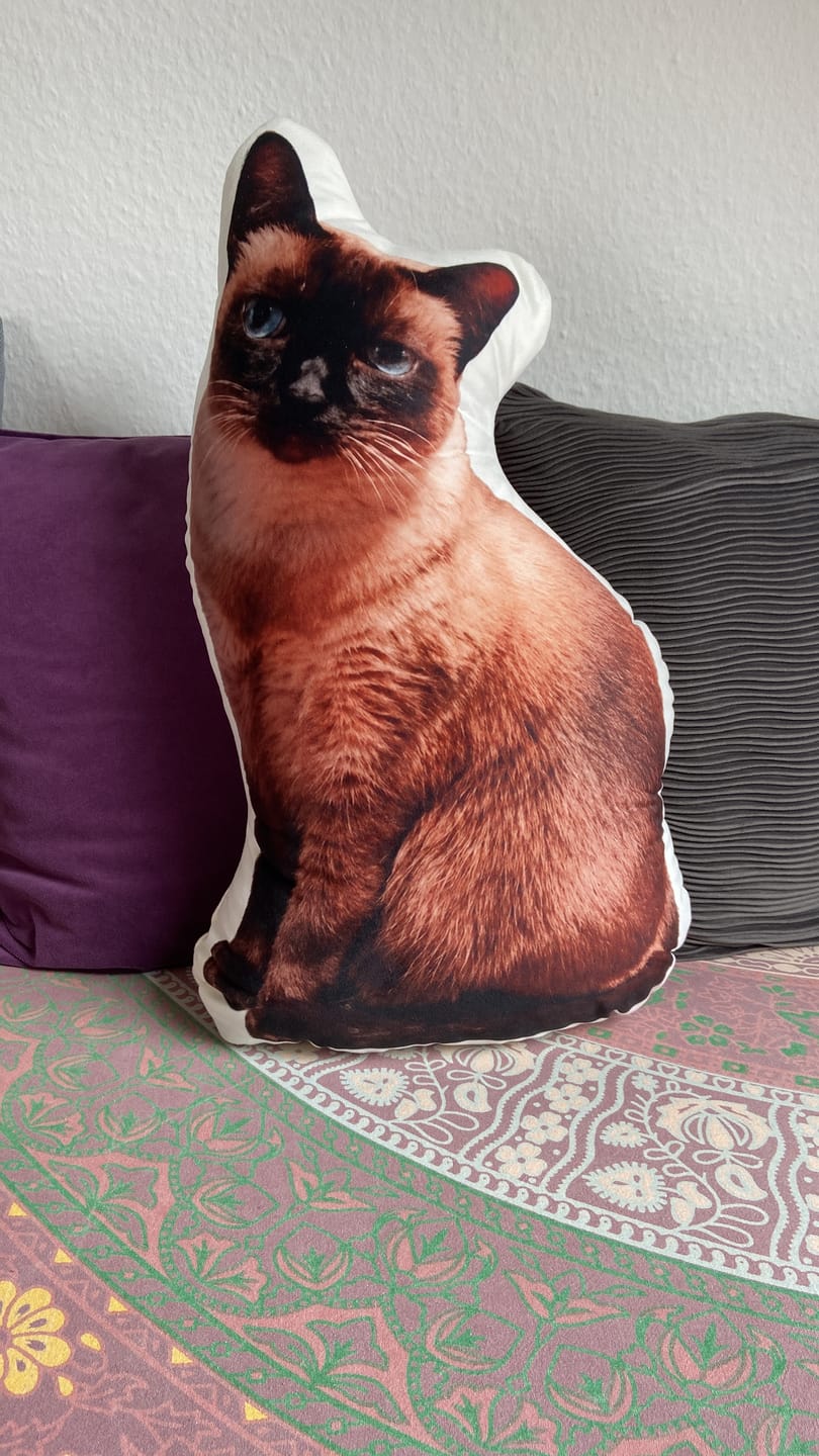 Customer photo review of Personalisiertes Katzenkissen