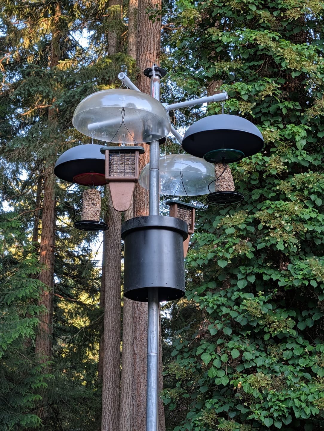 Customer photo review of Telescoping Martin Pole- Galvanized 14 ft. w/ Pulley System