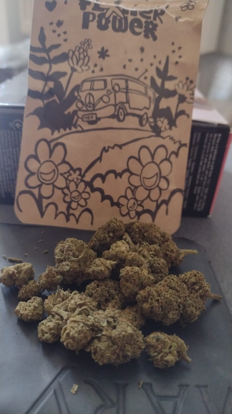 Customer photo review of 💥 Diesel Dynamite - SATIVA TURBO LVL 5/5