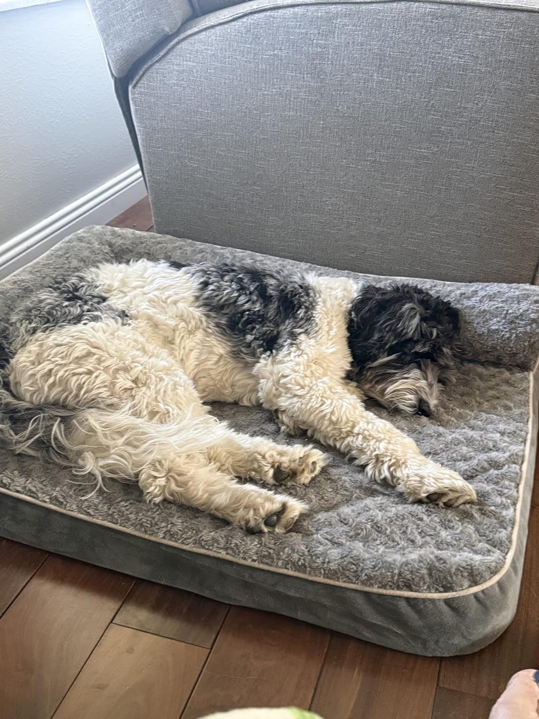 Customer photo review of The Big Loll