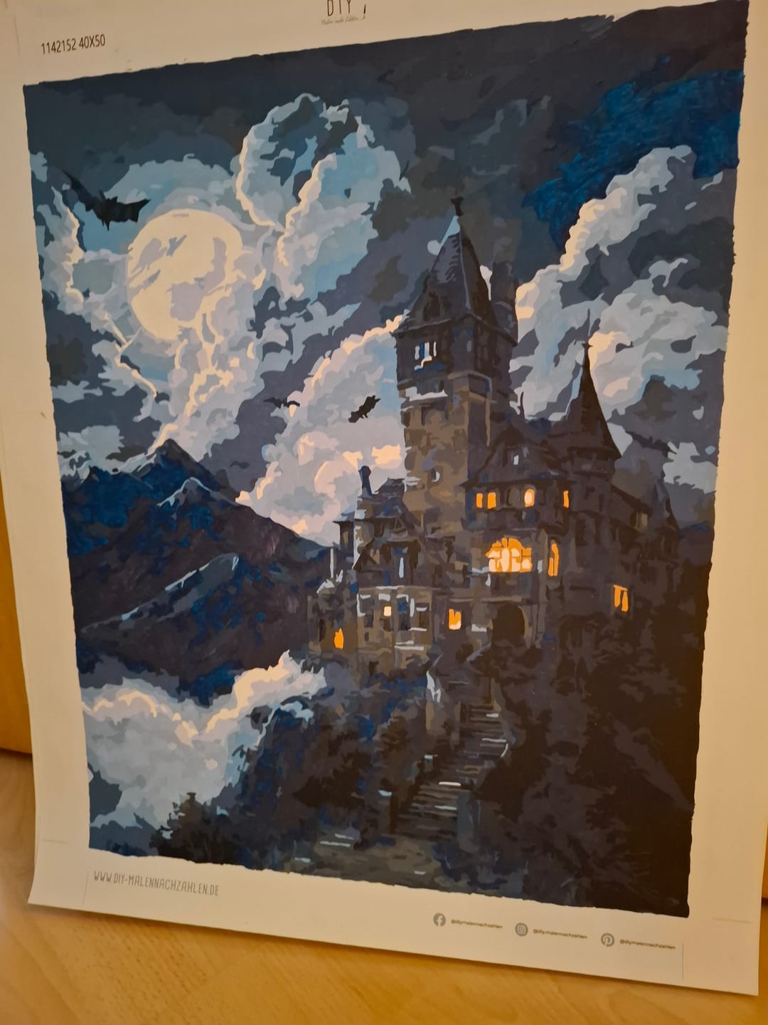 Customer photo review of Malen nach Zahlen - Draculas Anwesen