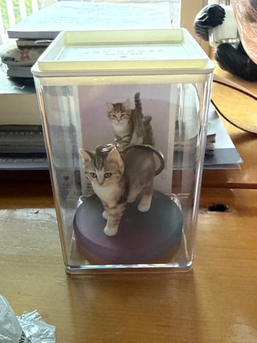 Customer's custom cat keychain displayed in a clear container next to a photo of their cat, showing it arrived safely.