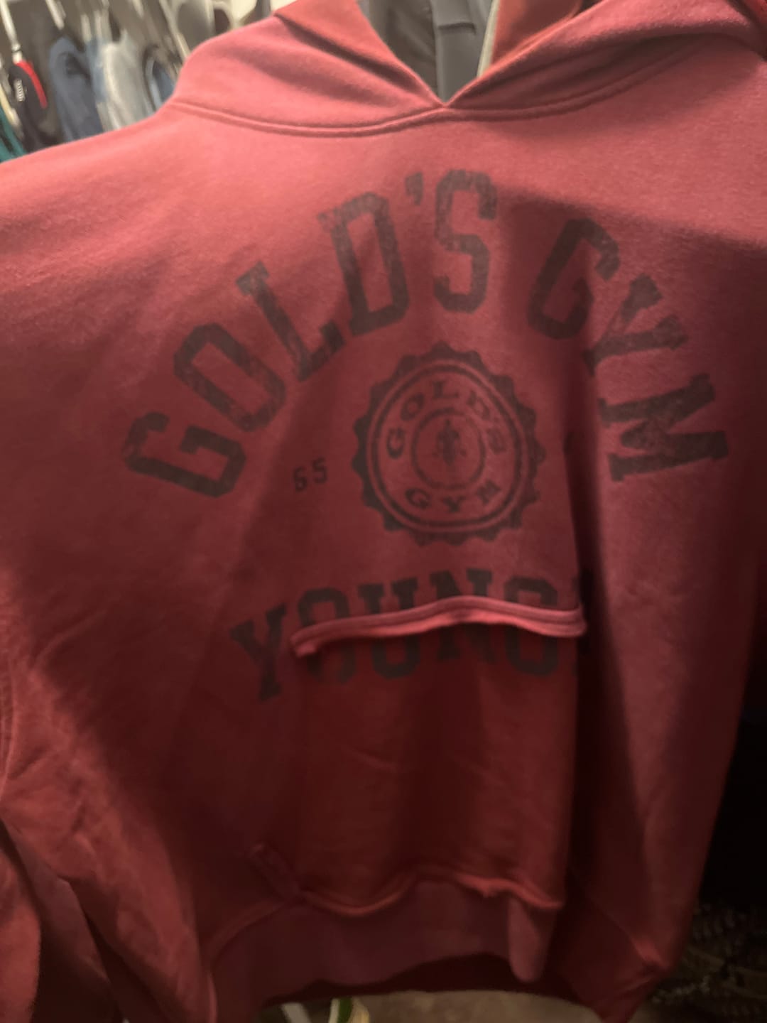 Customer photo review of 5167 - Gold's Iron Legacy Crest Hoodies