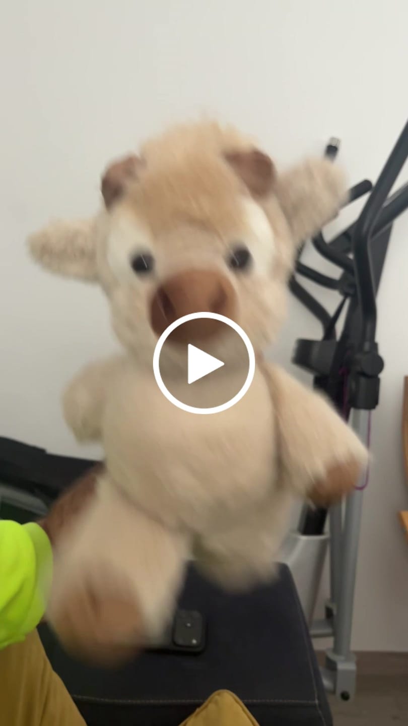 Customer video review of Coco-Hug™ El peluche que corre