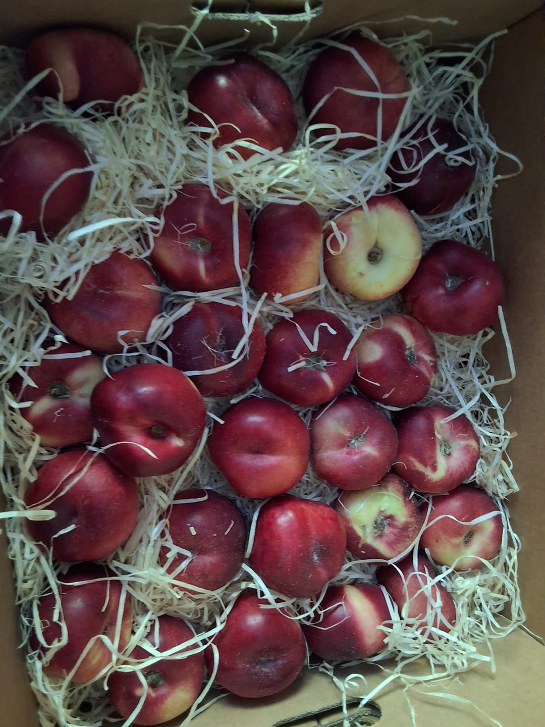Customer photo review of Mini Weinberg-Nektarinen Bio von Nicolas 3kg Retterbox