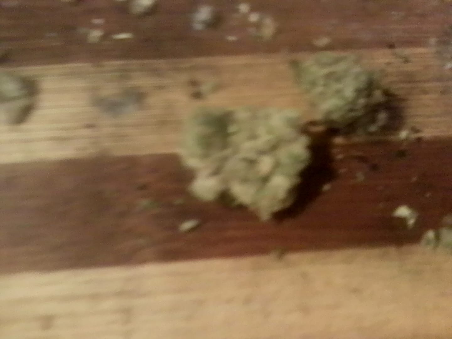 Customer photo review of Cereal Milk THCA Flower (Budget)