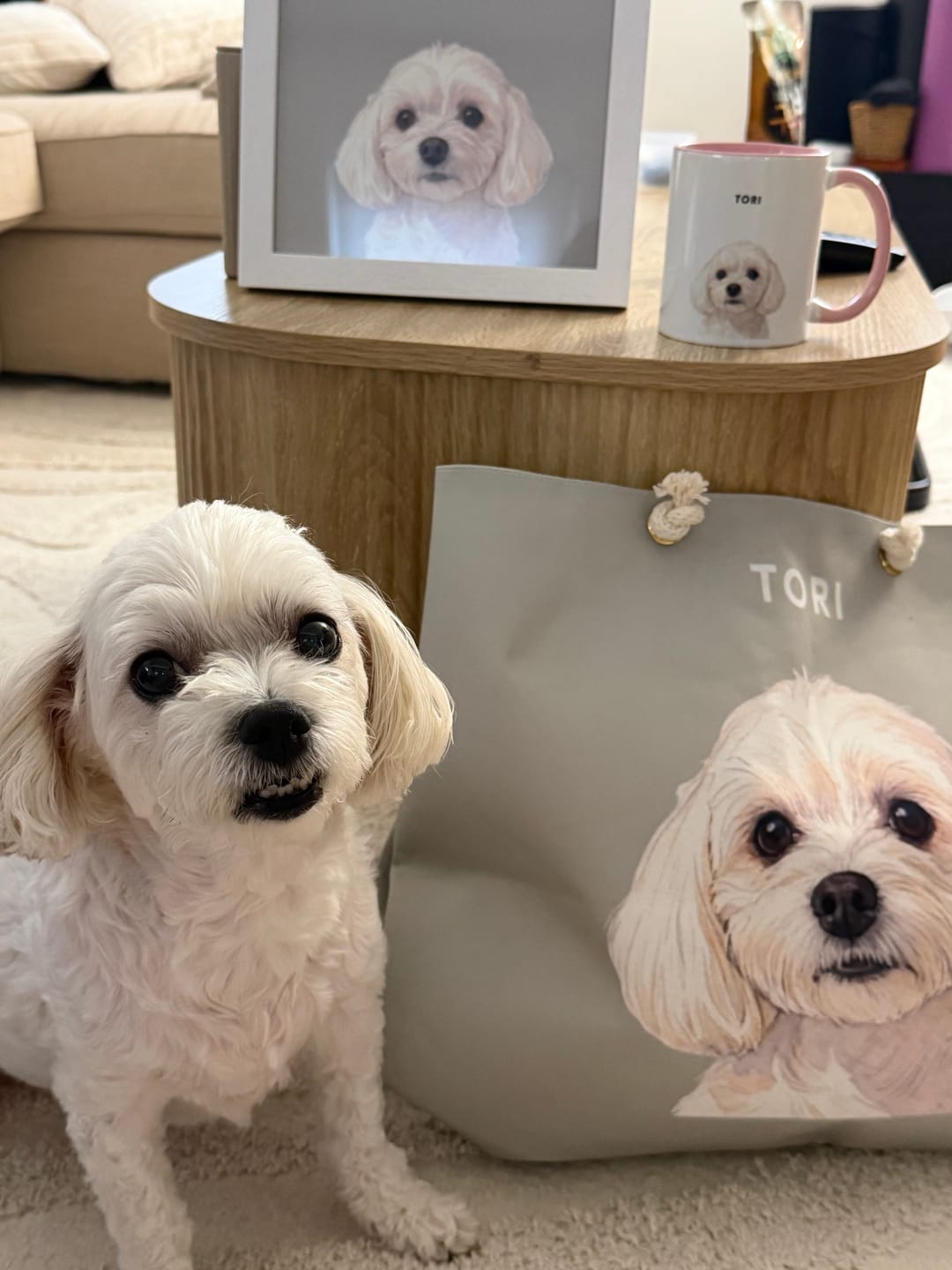 Customer photo review of Modern Custom Pet Colorful Mug