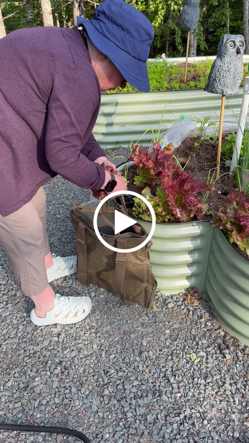 Customer video review of The Field Bag