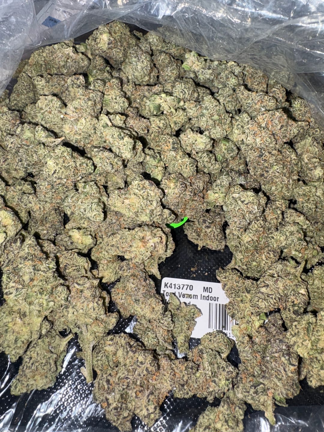 Customer photo review of Toad Venom Indoor - Bulk - Hybrid
