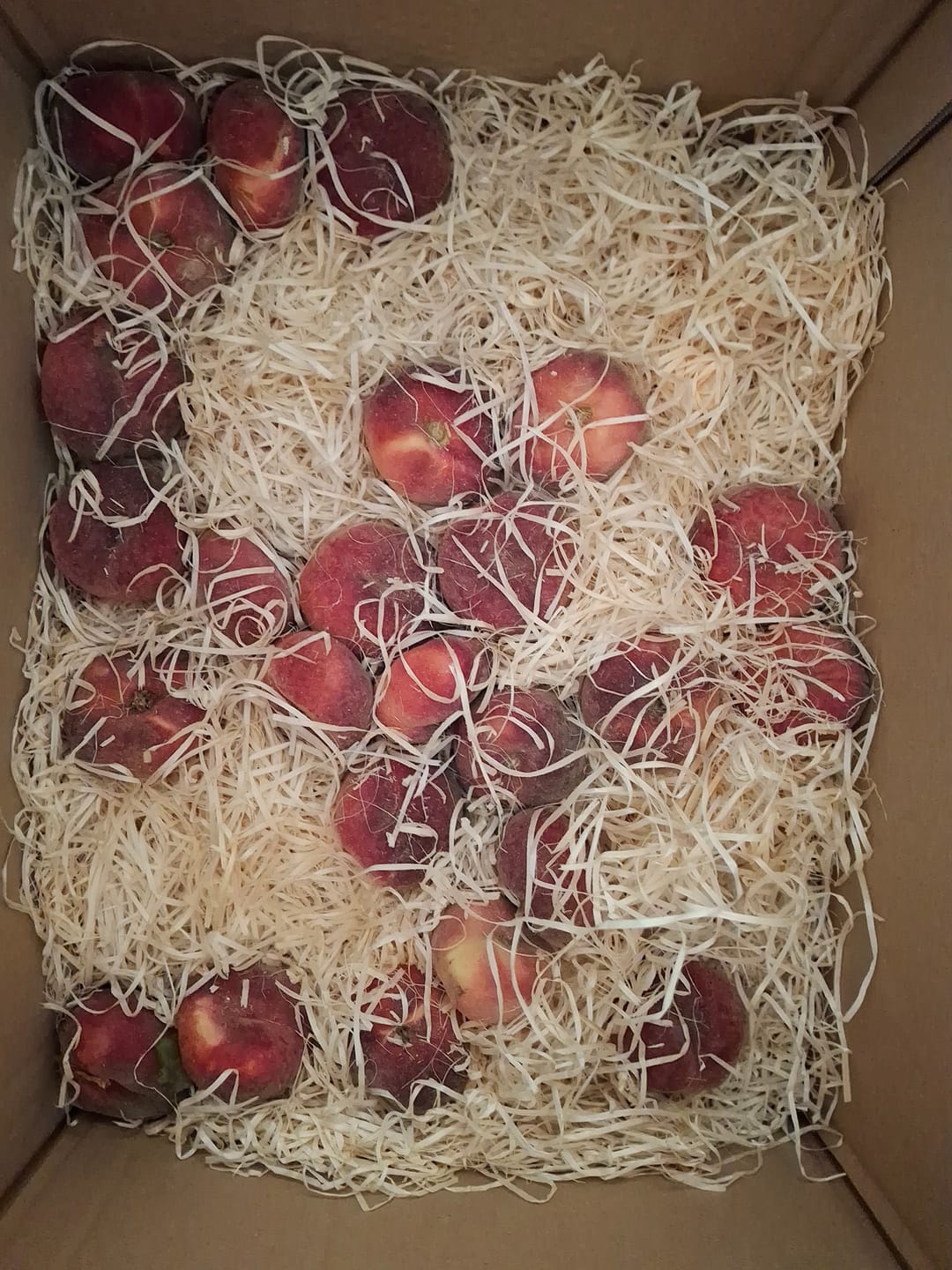 Customer photo review of Weinbergpfirsiche "Paraguayo" Bio von Jose 2kg Box Sonderpreis %