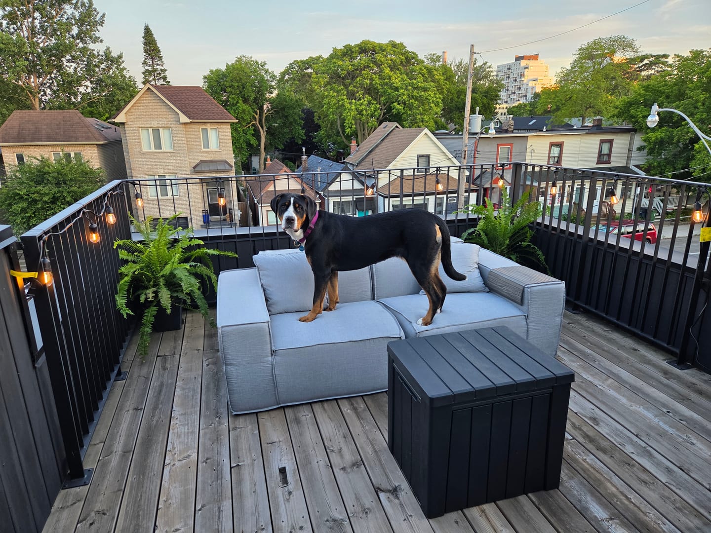 Customer photo review of M1 Outdoor Loveseat Sofa