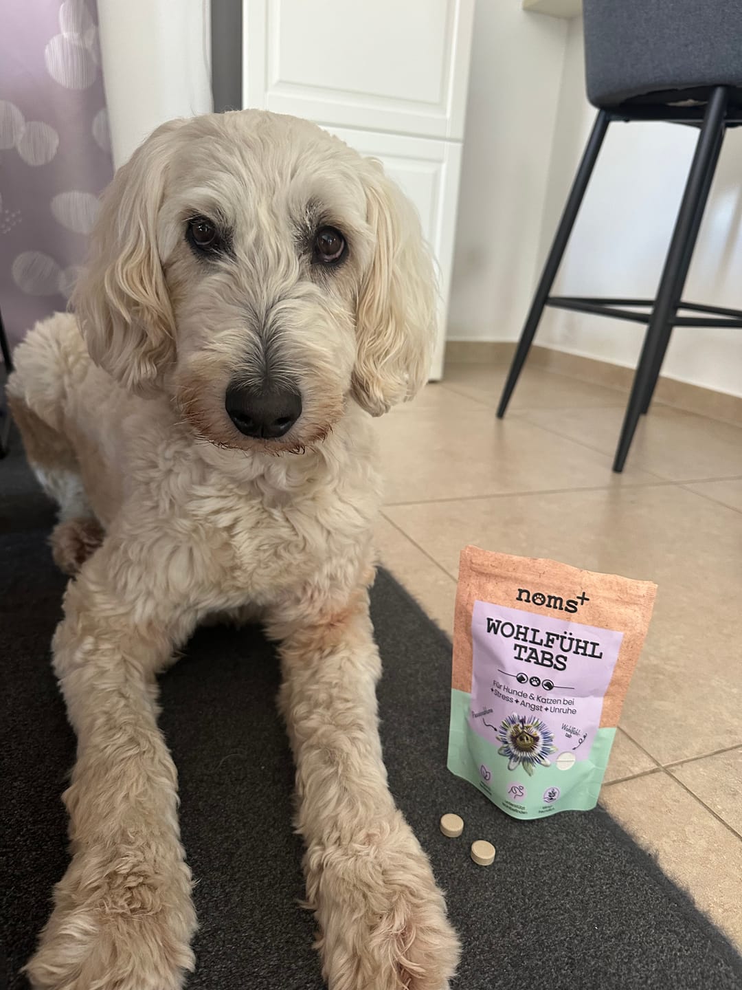 Customer photo review of Wohlfühltabs für Hunde bei Stress, Angst, Unruhe und Hyperaktivität