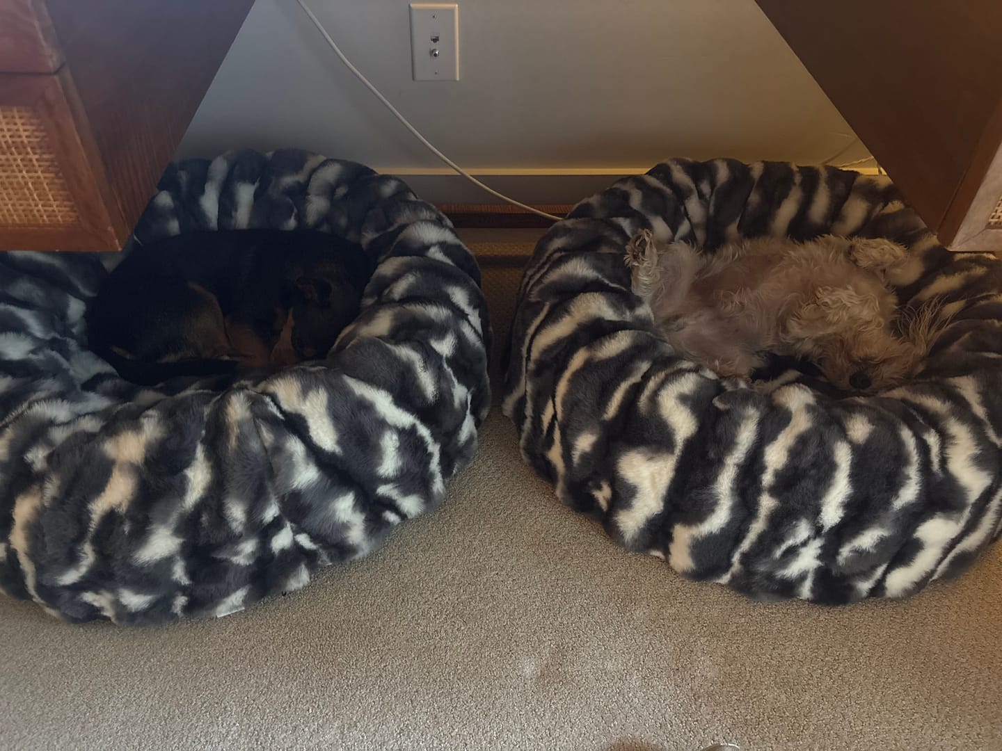 Customer photo review of Cloudy Day Black Pet Bed