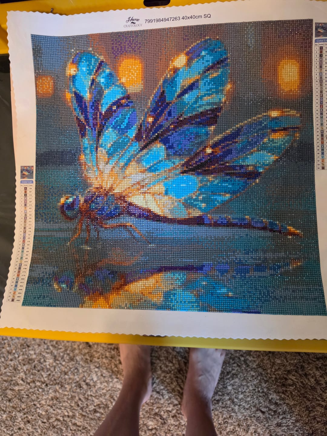 Customer photo review of Crystal Winged Dragonfly - Time Limited Exclusive Diamond Painting Kit