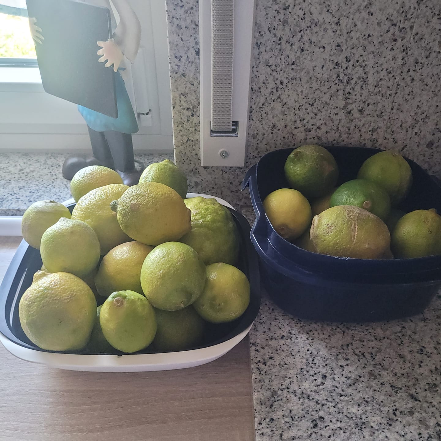 Customer photo review of Ätna Zitronen Bio aus Sizilien 4kg Box Sparpreis %