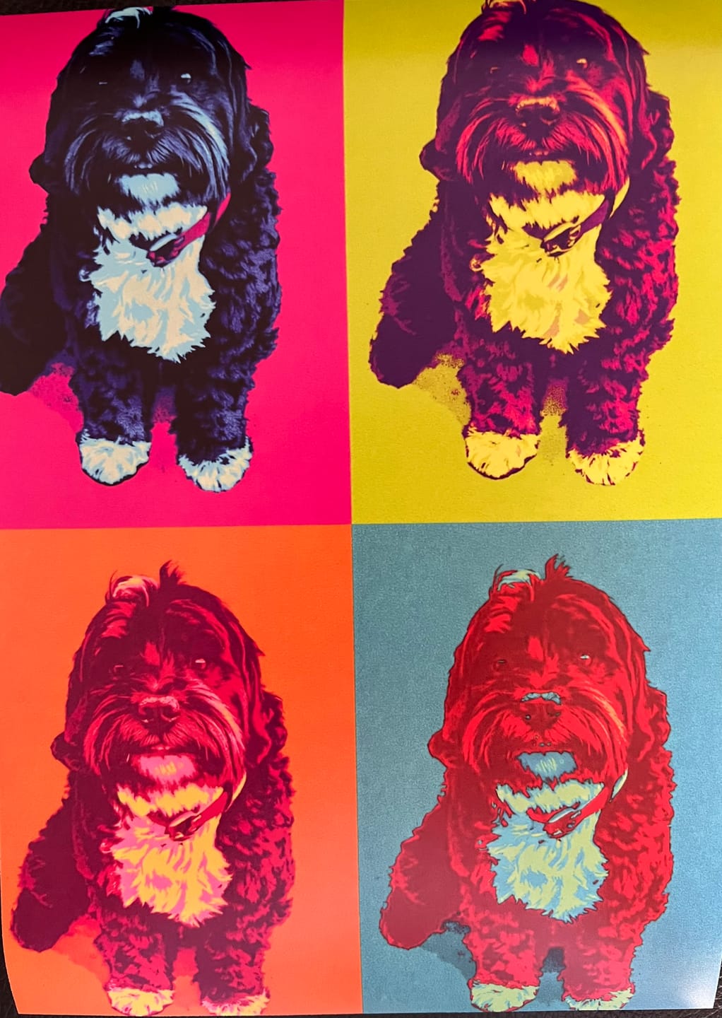 Customer photo review of Personalisiertes Poster - Farbquadrate