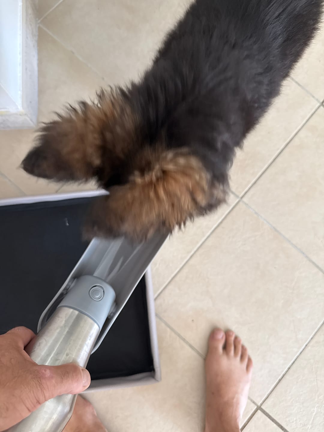 Customer photo review of Gourde pour chien HydraPaw : anti-fuite, inox, 750 mL
