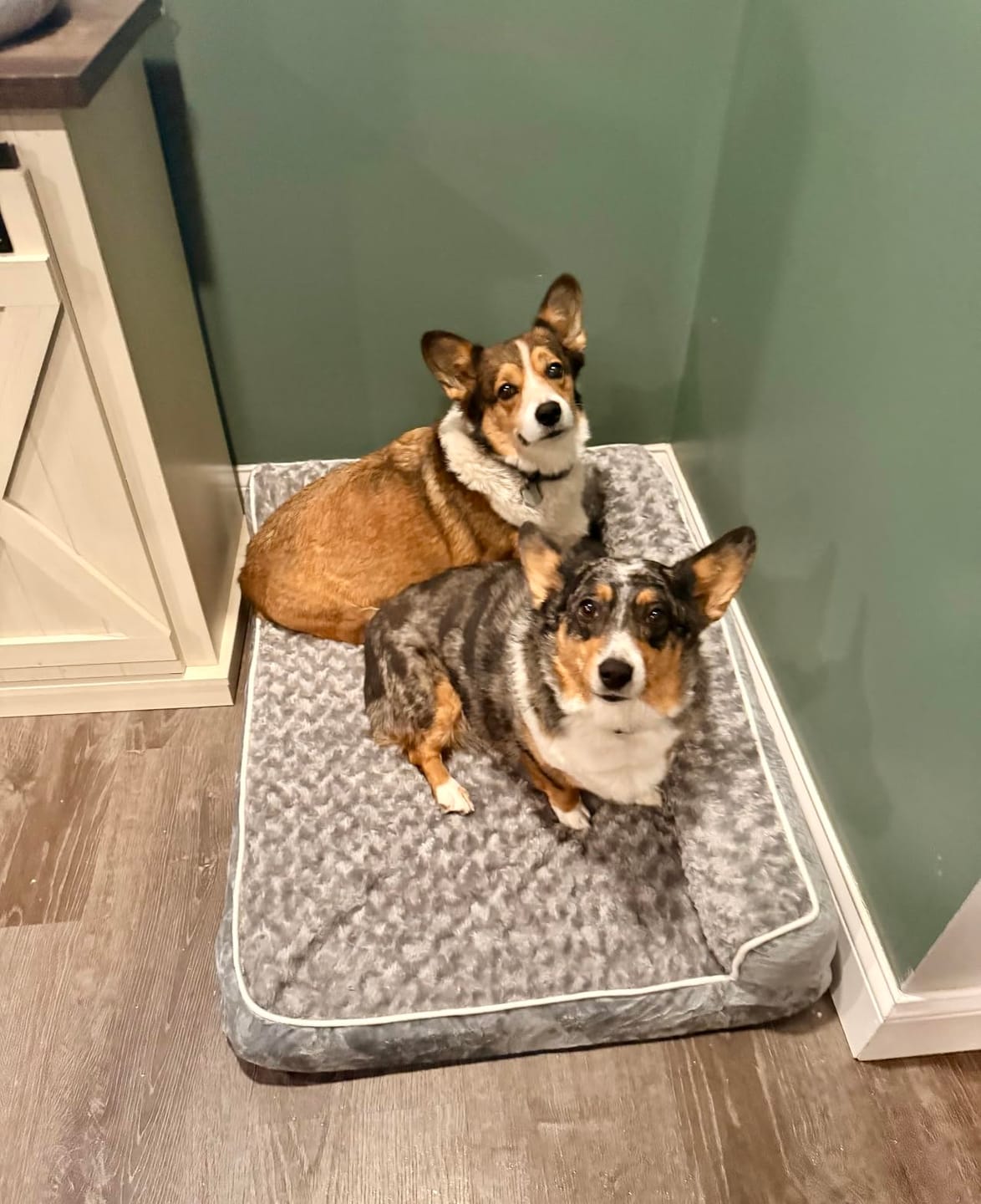 Customer photo review of The Big Loll
