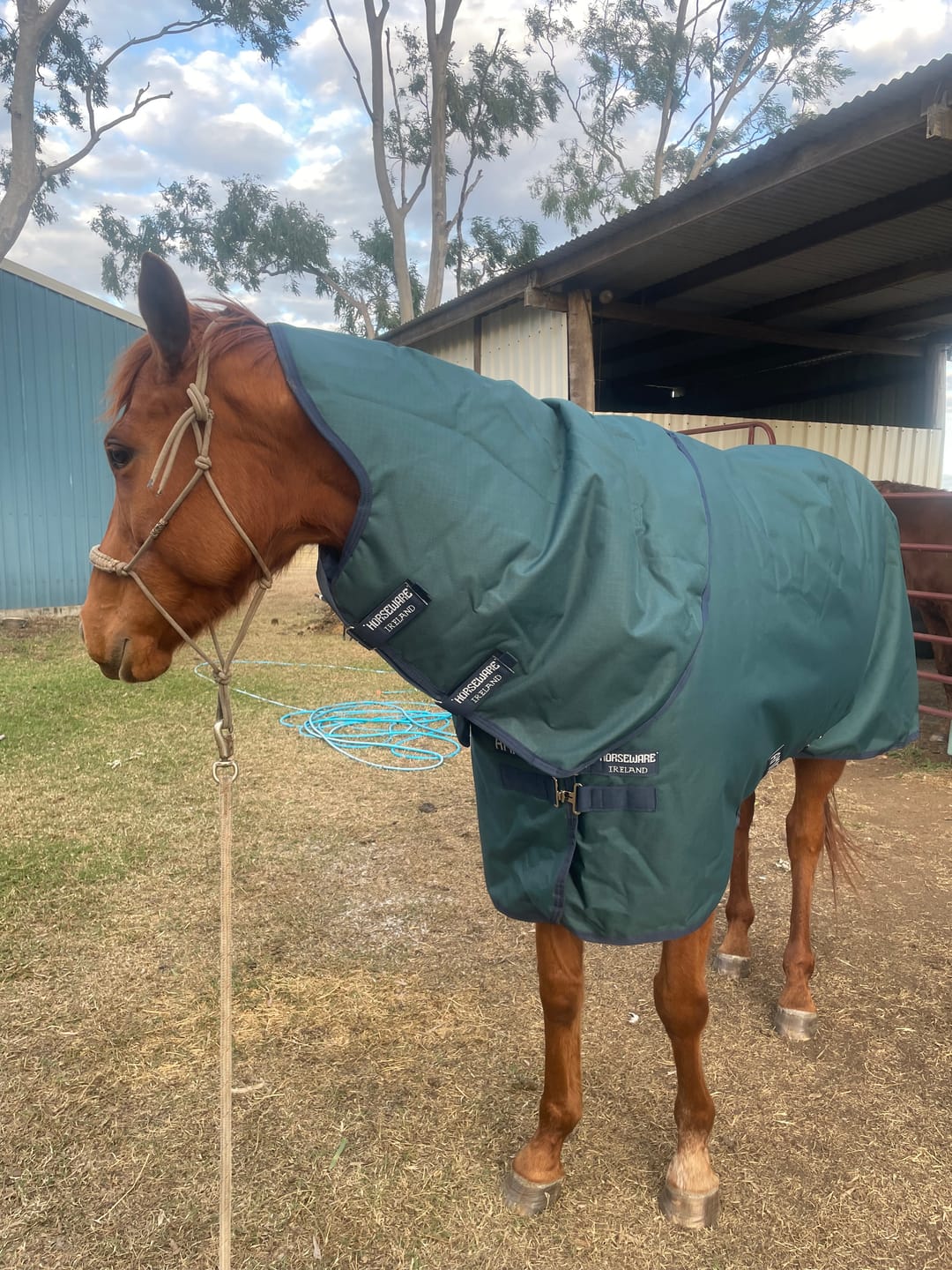 Customer photo review of Amigo Ripstop 900D Plus Turnout 100g